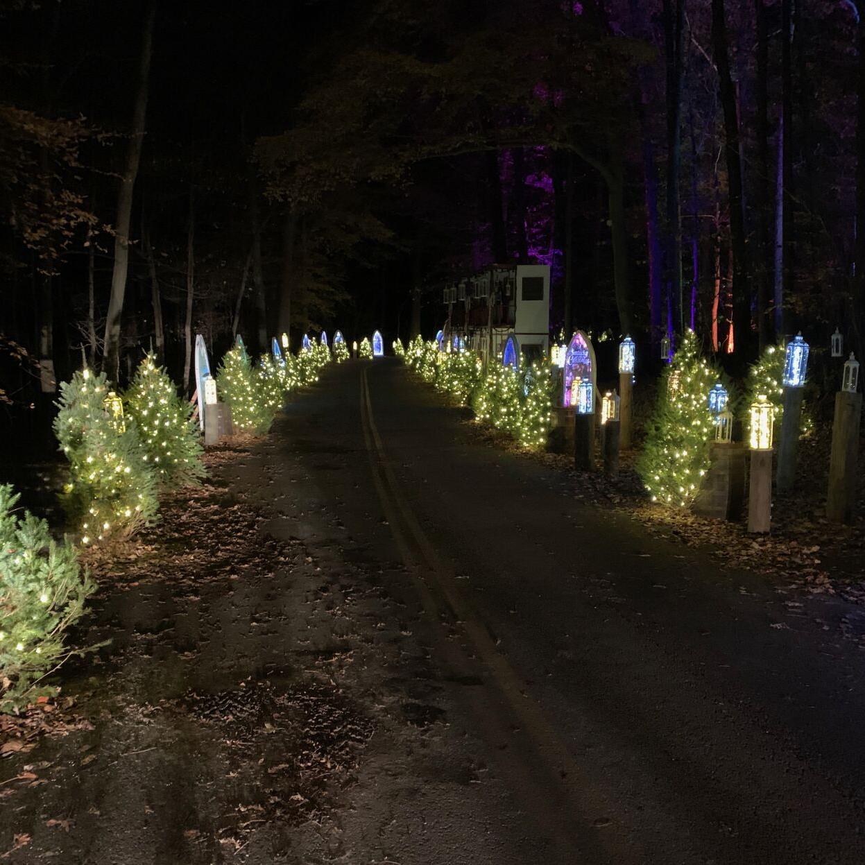 WINTER WOODS SPECTACULAR 1.jpeg